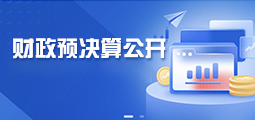 财政预决算公开